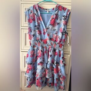 Xtraordinary Blue and Pink Floral Ruffled Kids Dress size L NWT